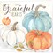 Pumpkin Patch Sentiment I-Gather by Cynthia Coulter 12" x 12" Canvas Wall Art